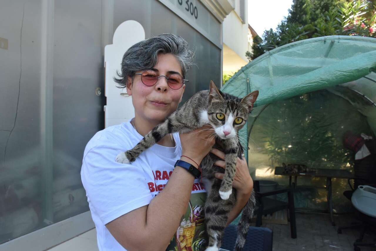 Erkek kedi doğum yaptı! 6 milyonda bir görülüyor 2